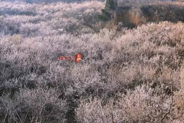 北极大冒险(国语版)