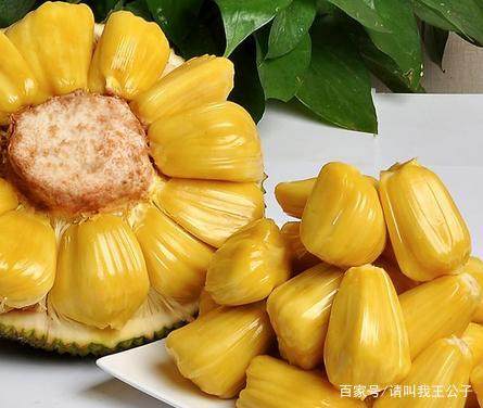 勇者斗恶龙 你的故事