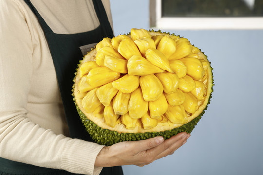 初识与告别之间