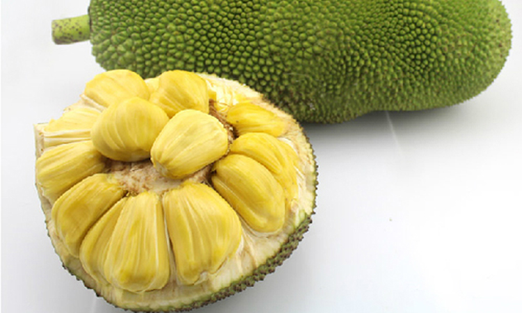 切·格瓦拉传:游击队