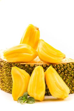 办公室僵尸起义